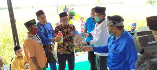 Bupati Siak Ikut Panen Raya di Kecamatan Sabak Auh